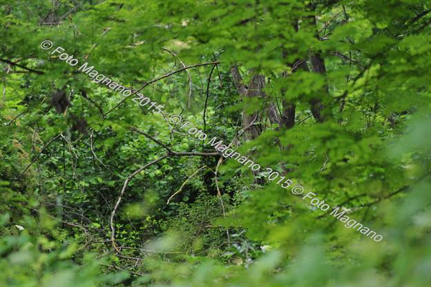 DSC_5416.JPG